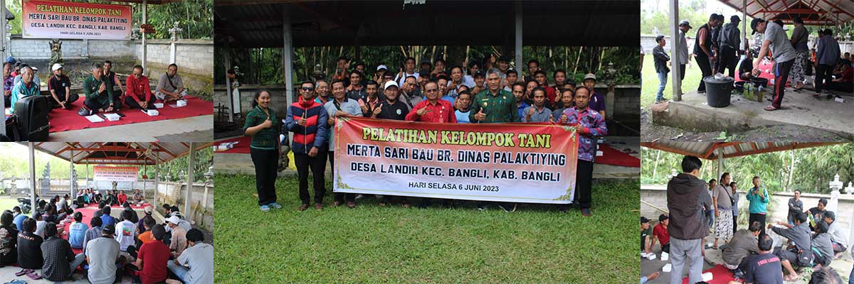 Pelatihan Kelompok Tani Merta Sari Bau Kegiatan Ketahanan Pangan Desa dan PKTD Desa